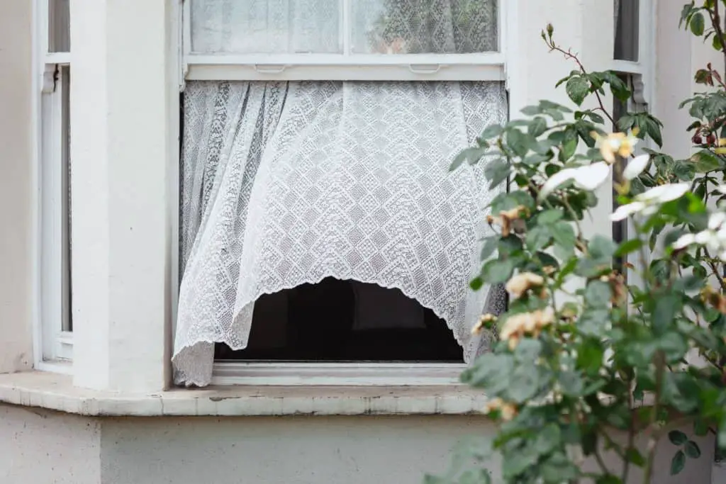 How Long Should You Leave Your Window Open? Air & Water Expert